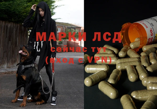 дмт Протвино
