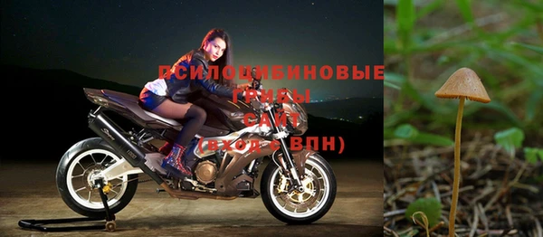 прущие крисы Баксан