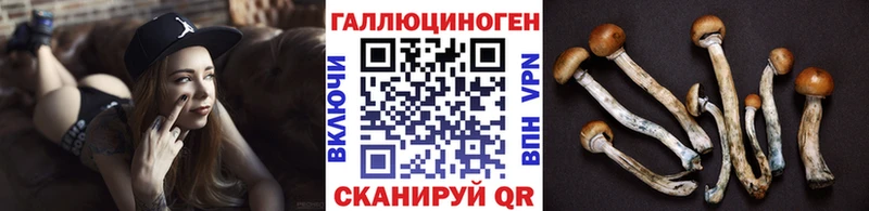 Псилоцибиновые грибы Magic Shrooms  как найти закладки  Кубинка 